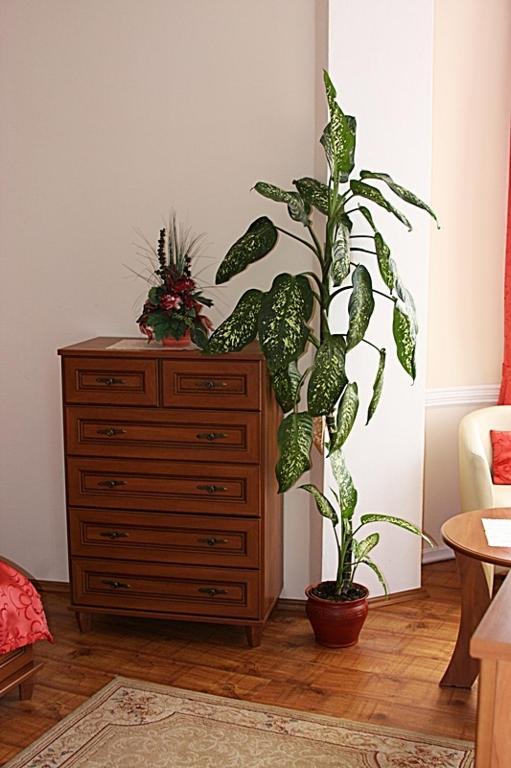 Olymp Penzion Komarno Room photo
